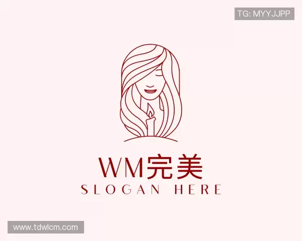 关于wm完美首页